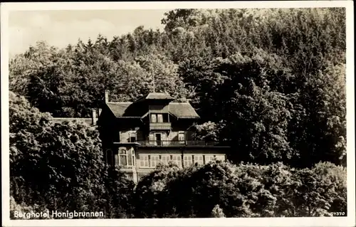 Ak Löbau in Sachsen, Löbauer Berg, Berghotel Honigbrunnen, Wald