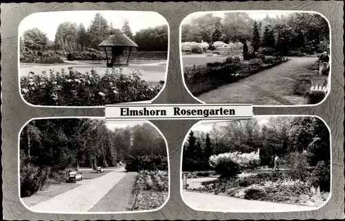 Ak Elmshorn in Holstein, Rosengarten