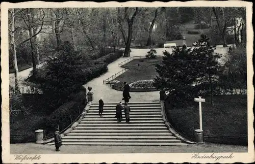 Ak Weißenfels an der Saale, Hindenburgpark, Treppe