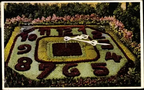 Ak Zittau in der Oberlausitz, Blumenuhr