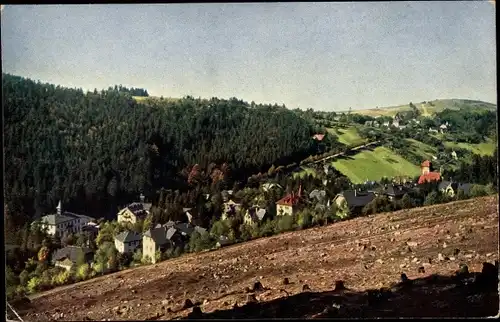 Ak Kipsdorf Altenberg im Erzgebirge, Panorama, Blick vom Ostabhange, Waldrodung