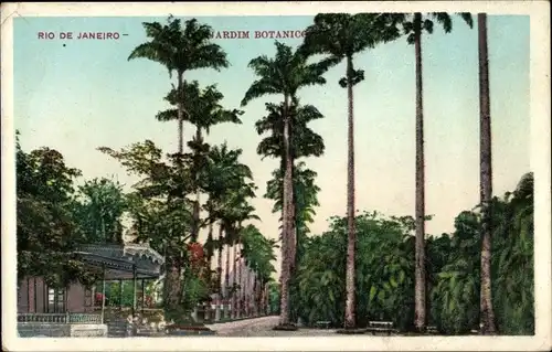 Ak Rio de Janeiro Brasilien, Jardim Botanico