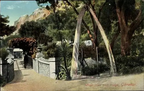 Ak Gibraltar, The Whale Jaw's Arch bridge