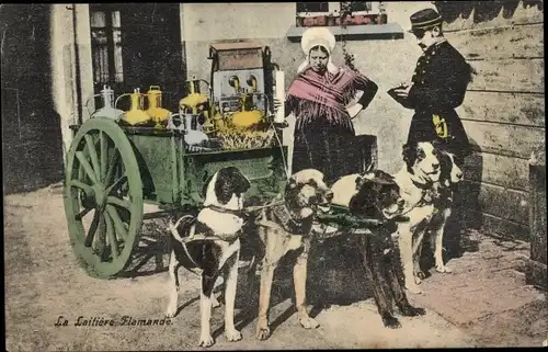 Ak La Laitiere Flamande, belgische Milchfrau, Zughunde