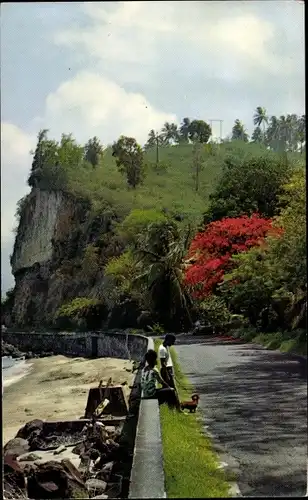 Ak Martinique, Route du Carbet a St-Pierre