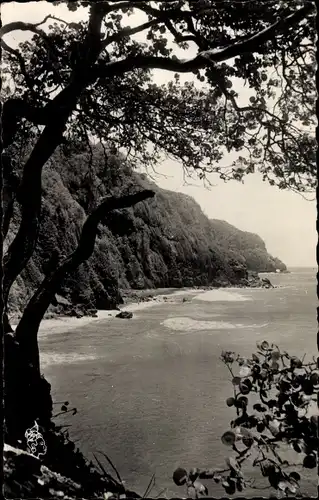 Ak Basse Pointe Martinique, La Plage