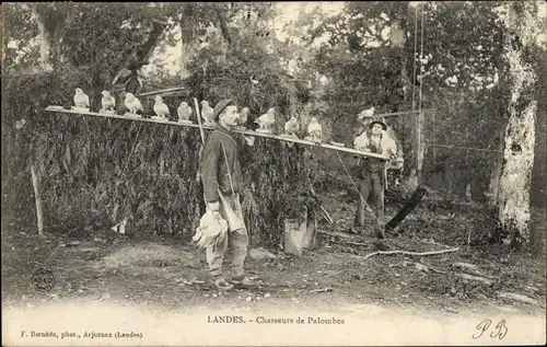 Ak Landes, Chasseurs de Palombes