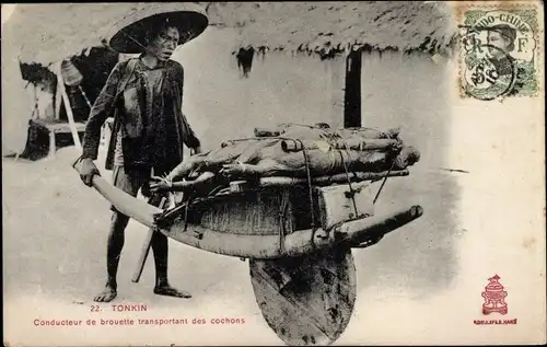 Ak Hanoi Tonkin Vietnam, Conducteur de brouettes transportant des cochons