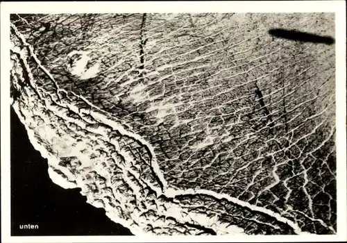 Sammelbild Zeppelin Weltfahrten II. Buch Serie Arktis Fahrt 1931 Bild 27, Nowaja Semlja, Gletscher