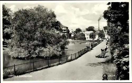 Ak Uppsala Schweden, Svandammen