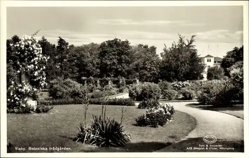 Ak Visby Wisby Schweden, Botaniska trädgarden