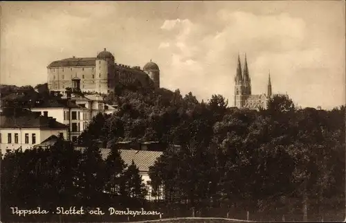 Ak Uppsala Schweden, Slottet och Domkyrkan