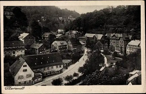 Ak Tharandt im Erzgebirge, Panorama, Gasthof Erblehngericht, Tal