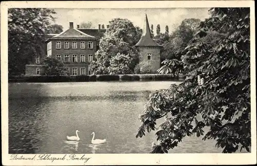 Ak Dortmund im Ruhrgebiet, Schlosspark Romberg, Schwäne, Blick auf Schloss