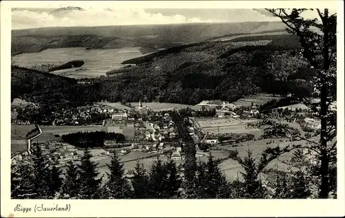 Ak Bigge Olsberg im Sauerland, Gesamtansicht