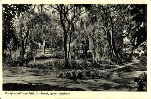 Ak Reinfeld in Holstein, Genesungsheim, Partie am Parkteich