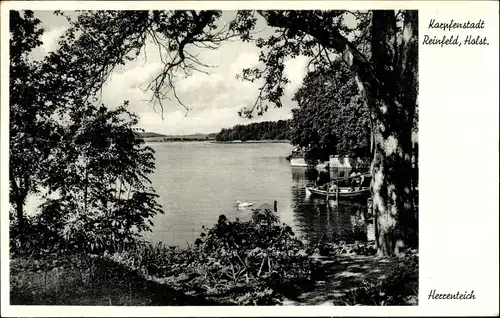 Ak Reinfeld in Holstein, Herrenteich