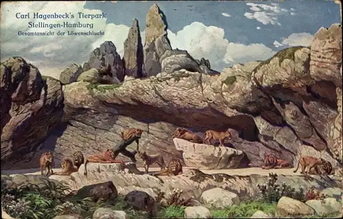 Ak Hamburg Eimsbüttel Stellingen, Carl Hagenbecks Tierpark, Löwenschlucht