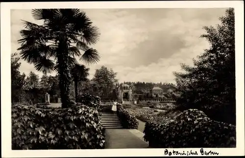 Ak München Nymphenburg, Botanischer Garten, Schmuckhof