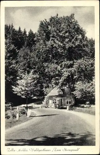 Ak Zella Mehlis im Thüringer Wald, Waldgasthaus Zum Sterngrund