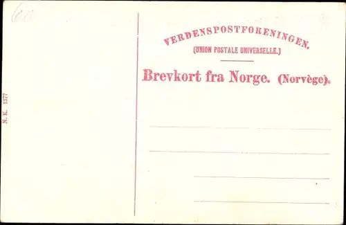 Ak Norwegen, Bergensbanen, Sneoverbygning, Tunnel