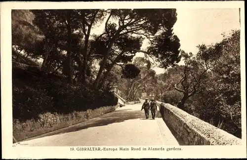 Ak Gibraltar, Europa Main Road in Alameda Gardens