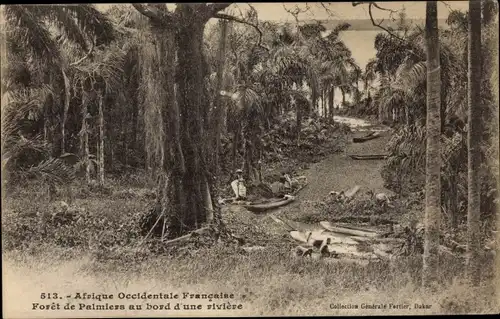 Ak Afrique Occidentale Francaise, Foret de Palmiers au bord d'une riviere