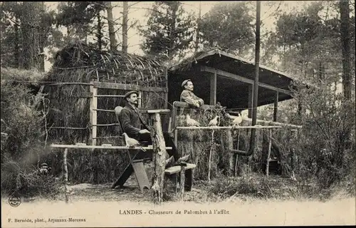 Ak Landes Ajon Calvados, Chasseurd de Palombes à l'affut, Jäger