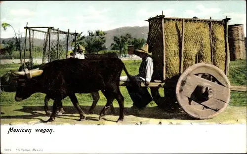 Ak Mexiko, A Mexican wagon, Rinderfuhrwerk