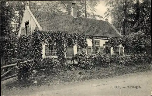 Ak Lisse Südholland, 't Hoogje