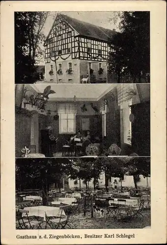 Ak Bad Klosterlausnitz in Thüringen, Gasthaus zu den Ziegenböcken