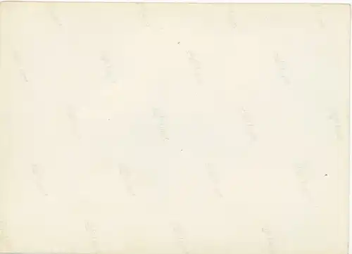 Foto Triptis in Thüringen, Schlossturm, Kirche, Teich