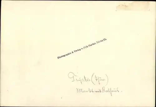 Foto Triptis in Thüringen, Markt, Rathaus