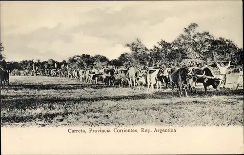 Ak Provincia Corrientes Argentinien, Carreta, Rinderkarren