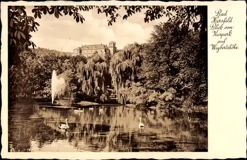 Ak Bad Hersfeld Hessen, Blick vom Kurpark auf Wigbertshöhe, Wasserspiel, Schwäne