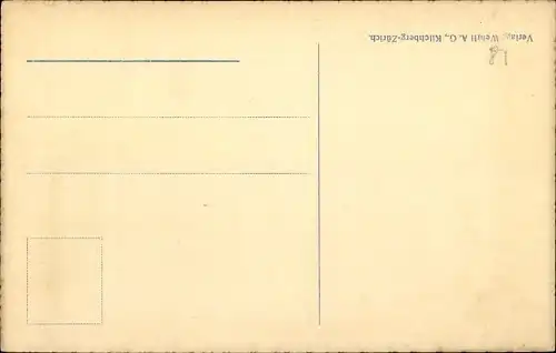 Ak Como Lombardia, Panorama