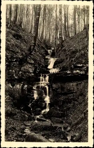 Foto Ak Echternach Luxemburg, Wasserfall im Wald