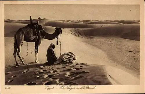 Ak Araber mit Kamel bei dem Gebet in der Wüste