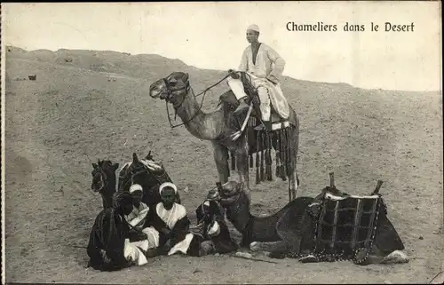 Ak Chameliers dans le Desert, Wüste, Kamele