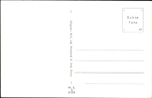 Ak Friesland Niederlande, Fries Landschap, Rinder, Windmühle