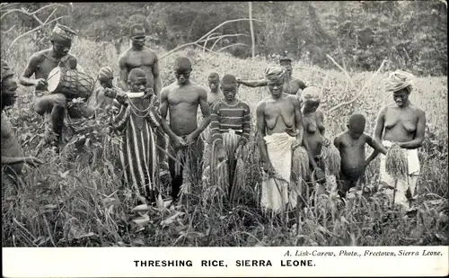 Ak Sierra Leone, Threshing Rice