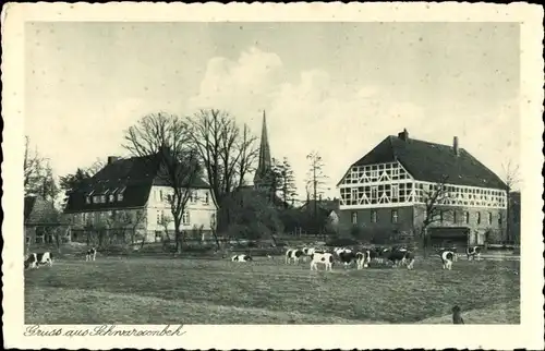 Ak Blick auf eine Ortschaft im Schwarzwald, Wohnhäuser, Kühe