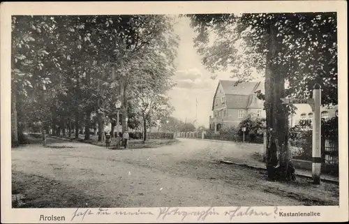 Ak Bad Arolsen in Hessen, Kastanienallee