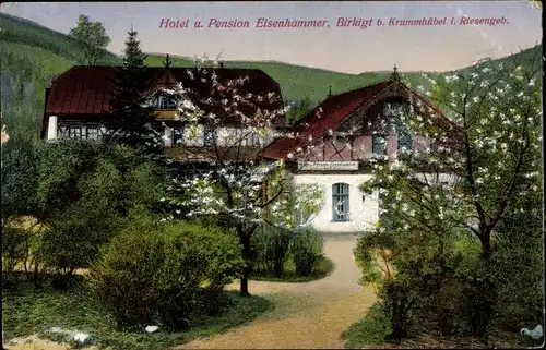 Ak Březiny Birkigt Děčín Tetschen an der Elbe Region Aussig, Hotel und Pension Eisenhammer