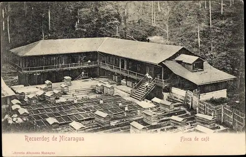 Ak Nicaragua, Finca de café