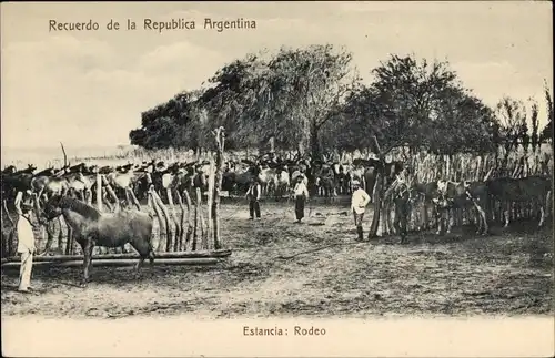 Ak Argentinien, Estancia, Rodeo