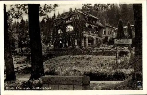 Ak Elend Harz, Hotel Pension Waldschlösschen Café