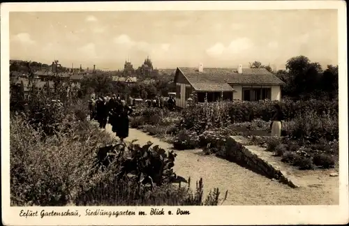 Ak Erfurt in Thüringen, Siedlungsgarten mit Blick zum Dom, Gartenschau