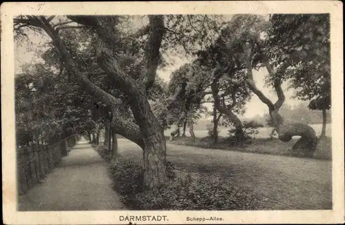 Ak Darmstadt in Hessen, Schepp-Allee