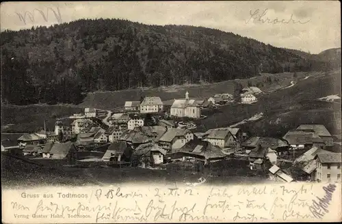 Ak Todtmoos im Schwarzwald, Panorama